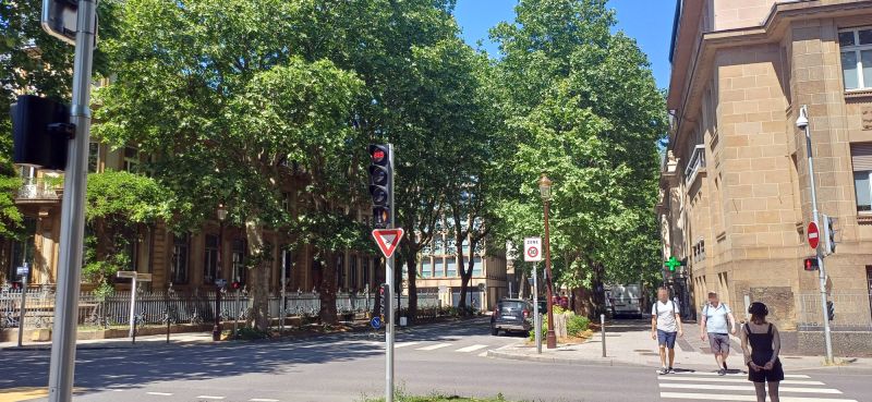 Fichier:Angle-curel-foch.jpg